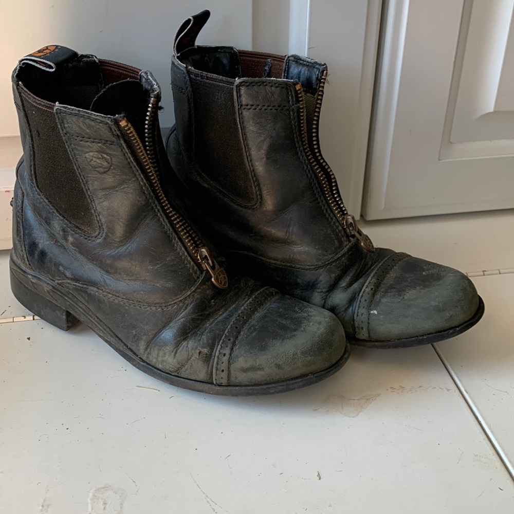 Ariat paddock boots